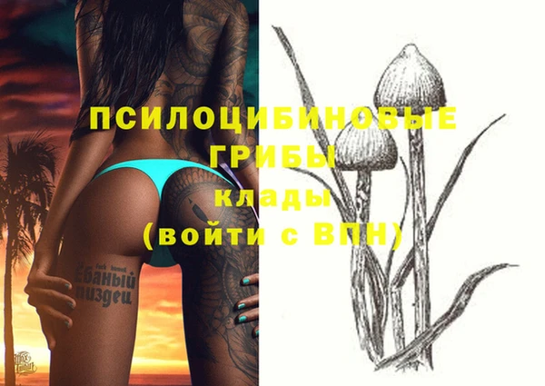 дурь Нефтекумск