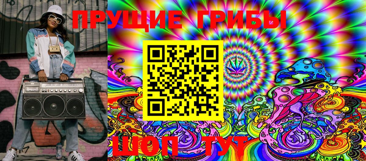 Псилоцибиновые грибы Psilocybe  Губкинский  Галлюциногенные грибы Psilocybe 