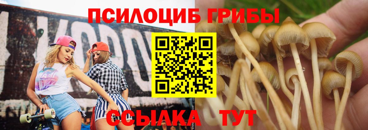 Губкинский  Галлюциногенные грибы ЛСД  Галлюциногенные грибы прущие грибы  Вход с VPN 