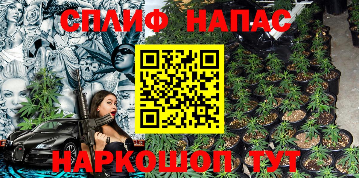 Бошки марихуана Ganja Губкинский